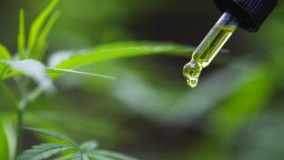 Consumer Brands Launch Coalition for Smart CBD Regulation